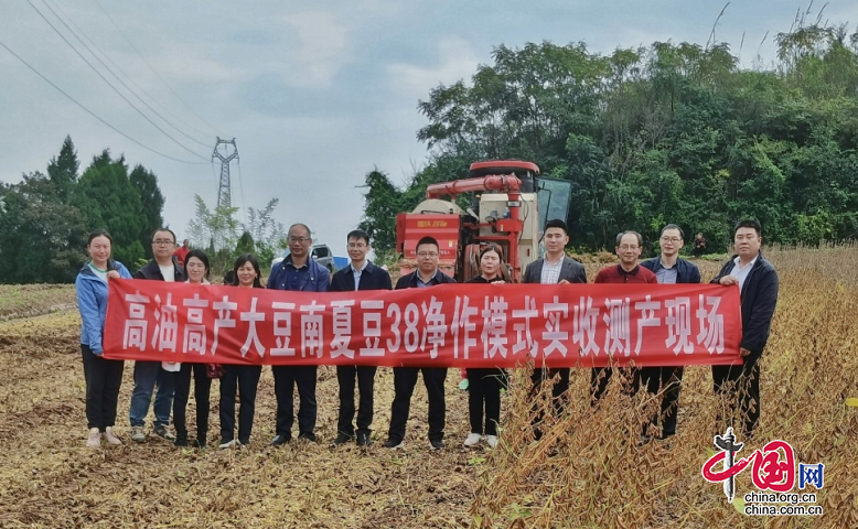 金秋菽黃 豆豐人忙|南充市農科院：高油大豆南夏豆38喜創高産紀錄