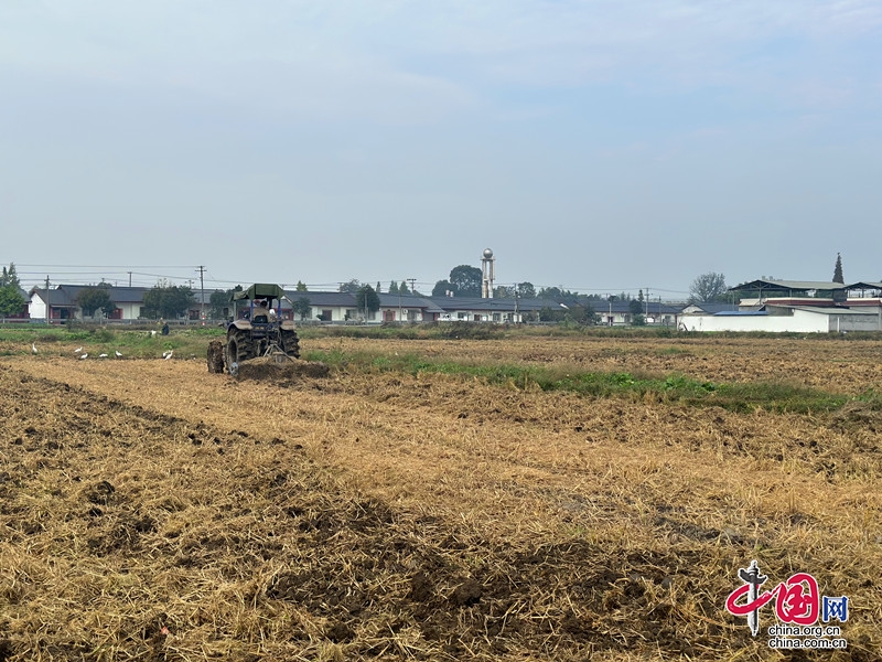 四川什邡：機(jī)械化助力  冬小麥播種正當(dāng)時(shí) 