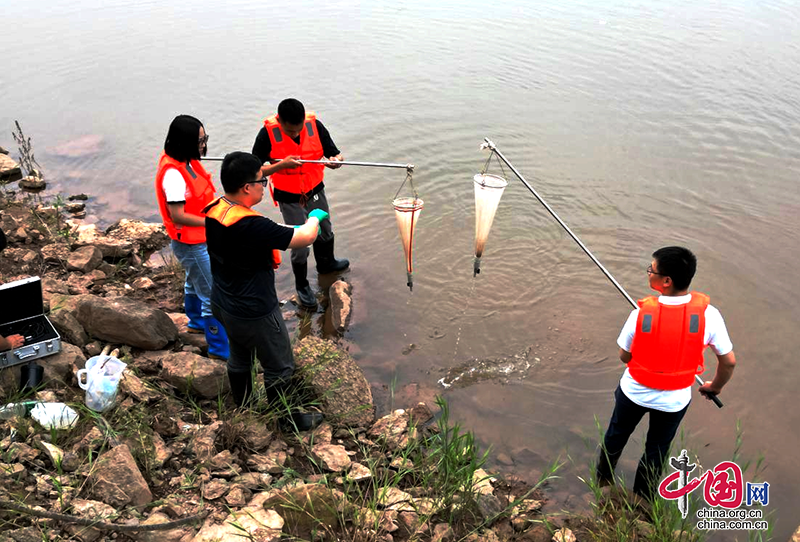 美酒河也需“健康体检”！泸州对赤水河流域开展水生态监测