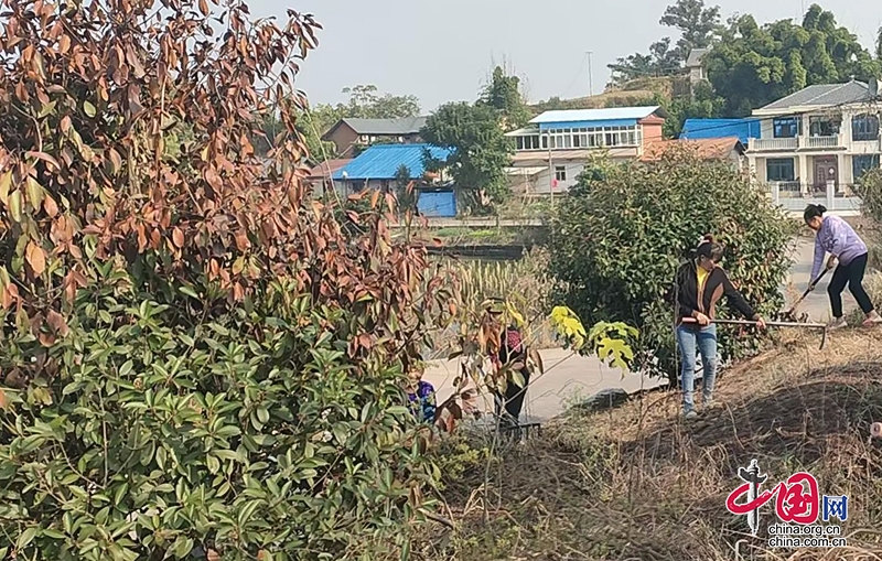 自贡沿滩区：整治环境卫生 建设美丽乡村