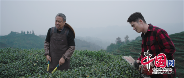 微電影《爸爸的茶》在雅安蘆山殺青