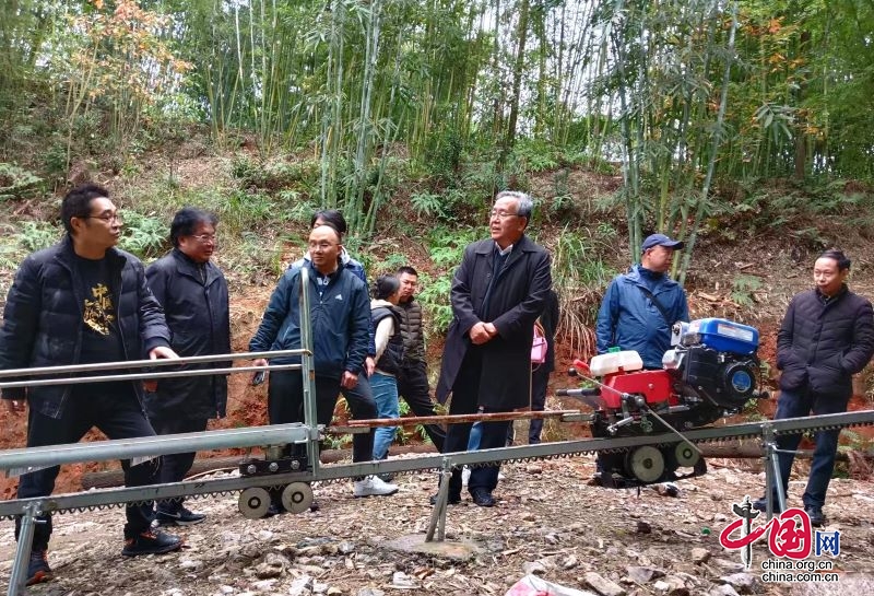 中國林業(yè)科學(xué)研究院木材工業(yè)研究所特聘專家傅萬四來宜賓指導(dǎo)竹材機(jī)械化撫伐運(yùn)