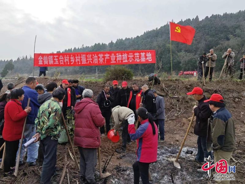 剑阁县金仙镇：大力发展油茶产业 助推乡村产业振兴