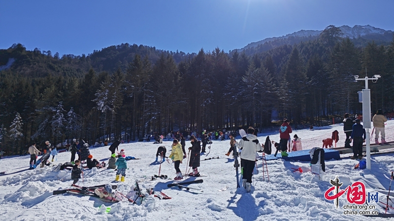 四川寶興：神木壘嬉雪場開滑啦，快來體驗速度與激情！