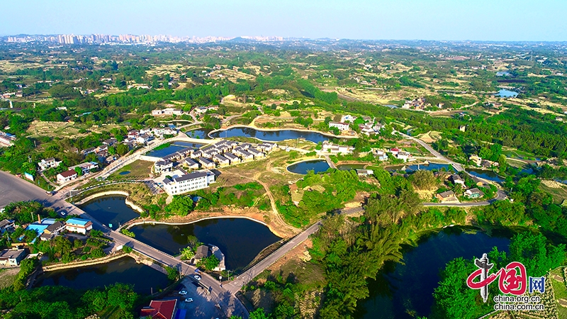 自贡市贡井区桥头镇白房村：厚了家底 美了乡村 富了村民