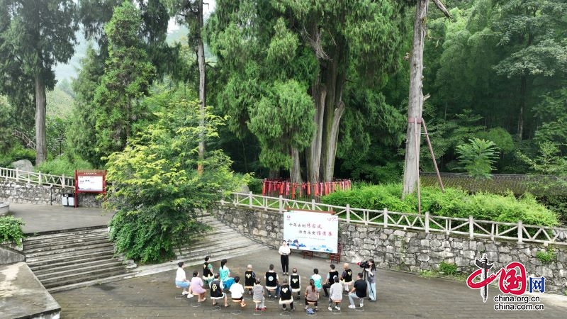 ​绵阳北川：打造古树下的家风课堂 传颂清廉好风气