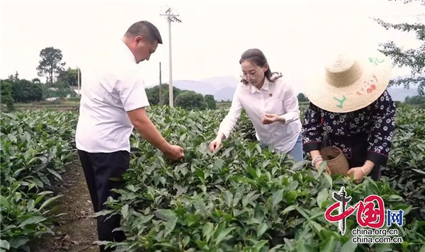 堅守一線 奮力抒寫新時代政務服務“名山答卷”