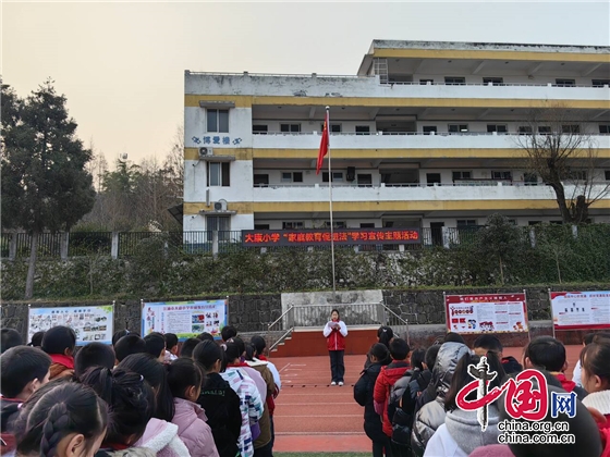 绵阳市大康小学开展“家庭教育促进法”学习宣传主题活动