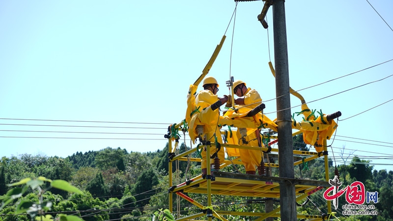 德陽深入推進“三化兩制兩軍事”試點  電力要素服務高質(zhì)量發(fā)展見成效