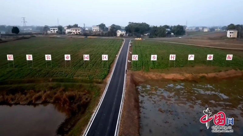 广安岳池：深入推进高标准农田建设  促进现代农业快速发展