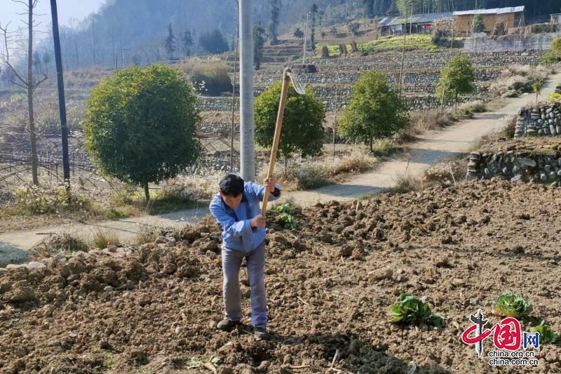 乐山市金口河区：夯实乡村振兴“耕”基 绘就高标准农田建设美丽画卷