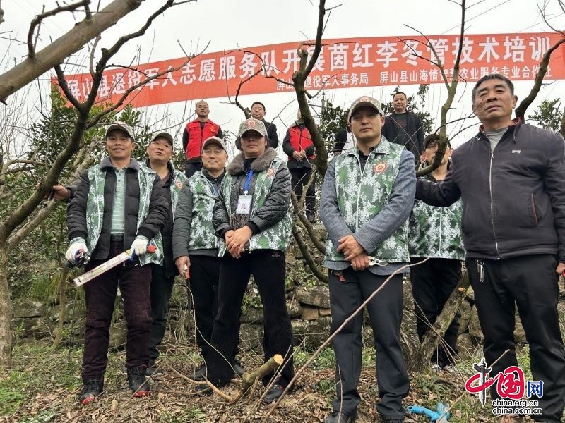 果樹冬管正當時，志愿服務促增收——屏山縣退役老兵志愿服務在基層