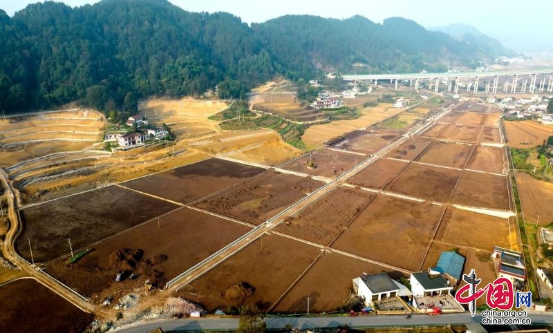 高縣釀酒專用糧基地連通連片