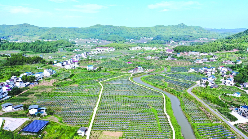 改善人居環境 夯實産業基礎 創新治理模式 | 南充市南部縣：和美鄉村處處景