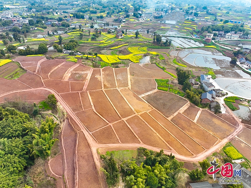 自贡市大安区高标准农田建设迎来“开门红” 助力农业增效农民增收