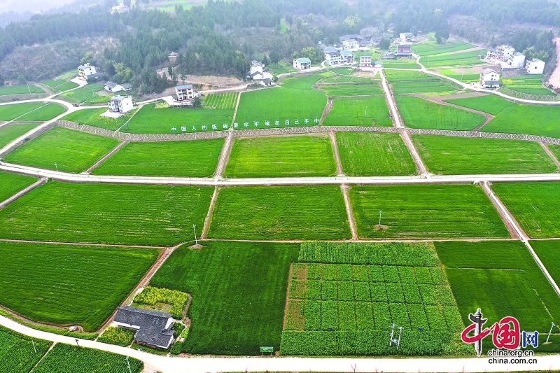 南充市南部县：粮丰产业兴 和美新乡村