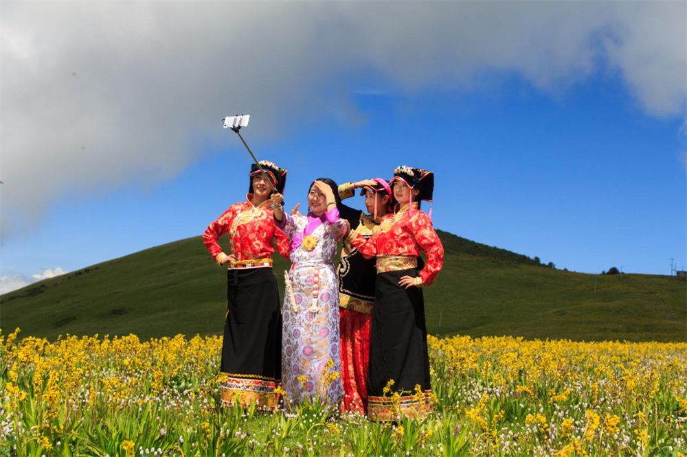 两州三县齐聚金川县第八届古树梨花节暨春季音乐季