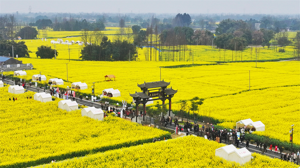 过完春节过春糖 崇州天府酒村集市开市啦!