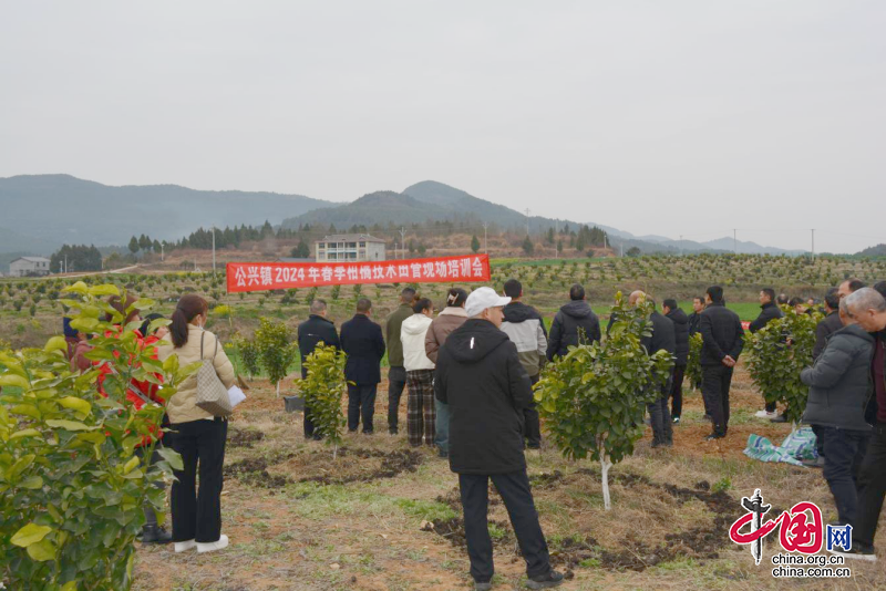 剑阁县公兴镇召开春季柑橘田间管理培训现场会