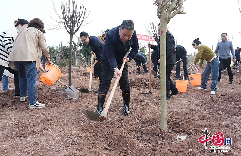 自貢高新區開展“植此青綠 共樹高新”義務植樹活動 助力生態宜居建設