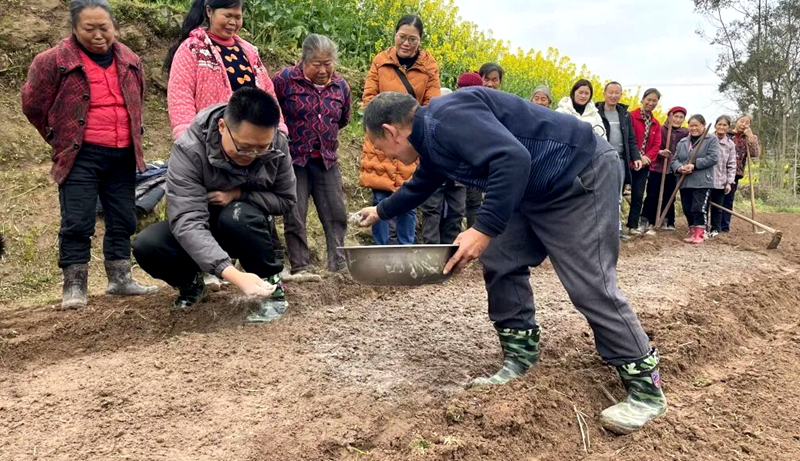 達(dá)州東部經(jīng)開區(qū)規(guī)劃種植苧麻1000余畝 一年可收獲3次