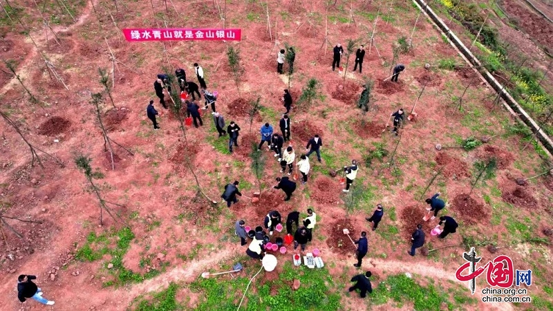 广安岳池县广大干部群众积极参加义务植树活动