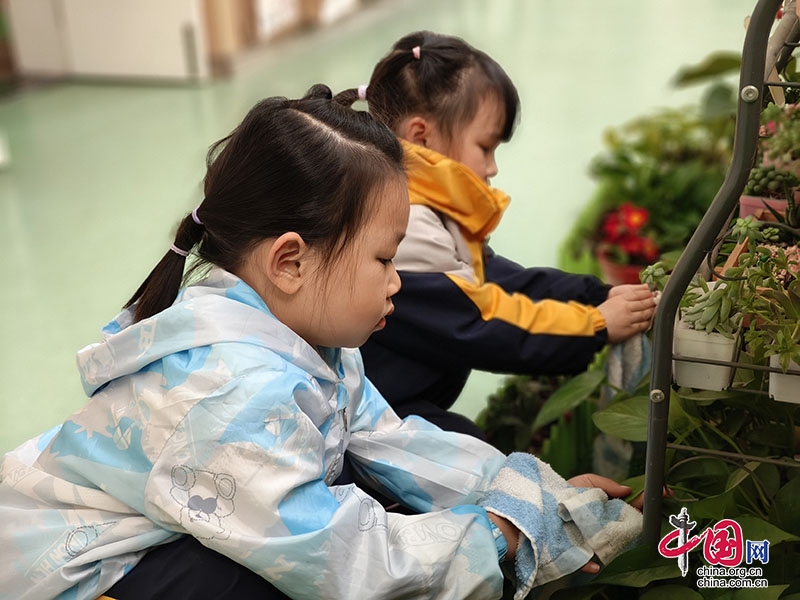 瀘州市云峰路幼兒園開展植樹節(jié)主題教育活動(dòng)