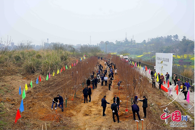 自貢市富順縣舉辦“3•12”義務植樹活動 助力美麗富順建設