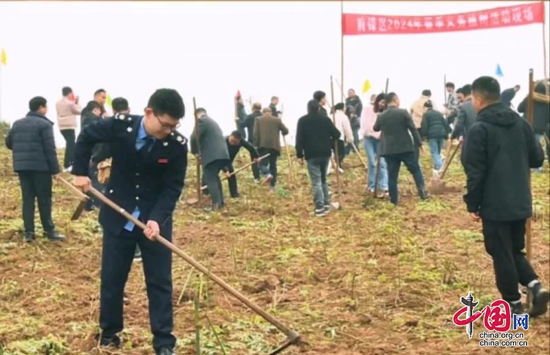 廣安前鋒區(qū)開展2024年春季義務植樹活動