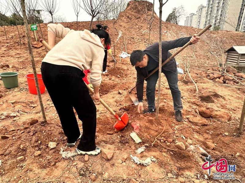 植綠為卷，禮獻春天 | 瀘州市江陽區(qū)茜草幼兒園黨支部開展植樹活動