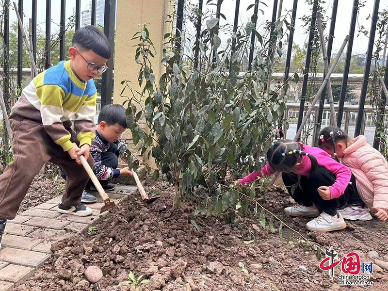 播種希望 幸福成長 | 瀘州市春華路幼兒園開展植樹節(jié)活動