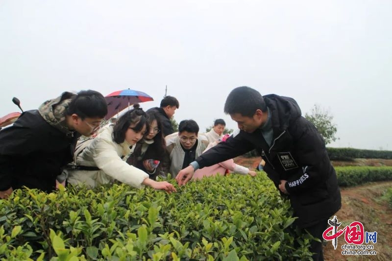 共青團宜賓市翠屏區委：青春助力 振興鄉村