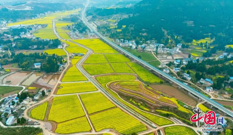 南充儀隴文旅：萬畝油菜花綻放 扮靚鄉村