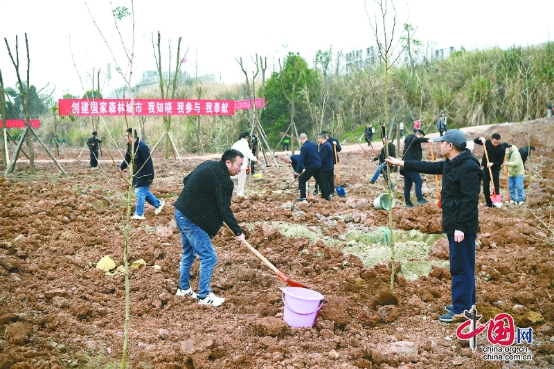 四川南充儀隴：義務植樹 為大地添綠