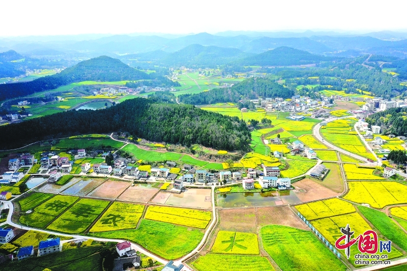 四川南充南部县：一年好景看春耕 不违农时耕作忙