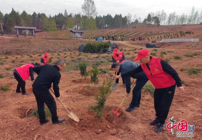 剑阁县下寺镇：春风催新绿 共植同心林