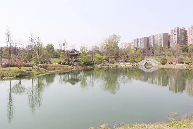世界水日·中国水周丨双流区举办“全民共筑生态梦 携手共建幸福河”主题教育活动