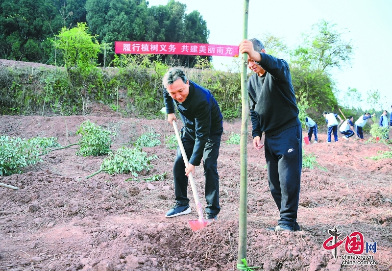 南充市委书记张冬云：树牢“绿水青山就是金山银山”理念 让植绿护绿兴绿成为市民自觉行动