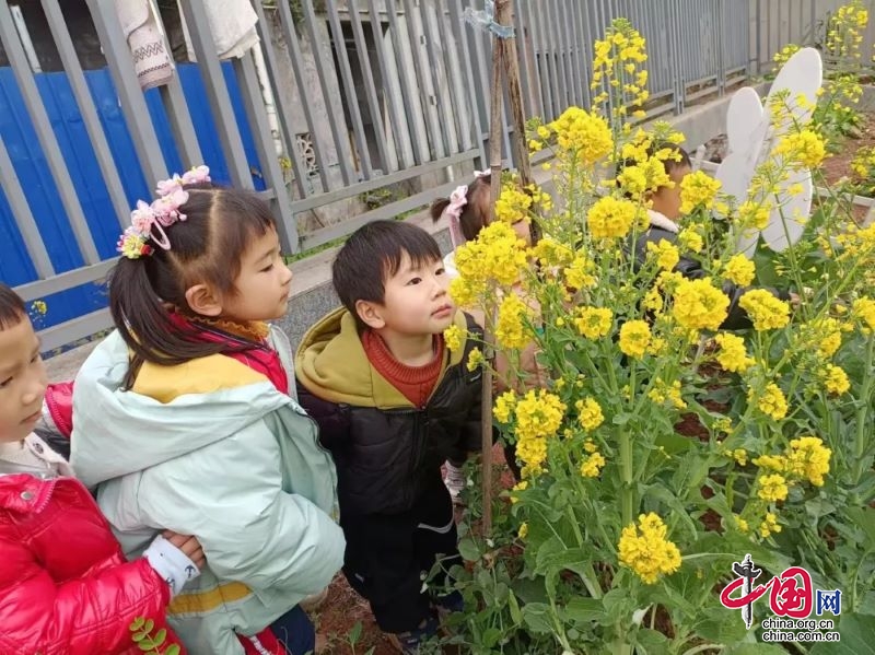 春耕正当时，小手添绿忙——记宜宾市三江新区石鼓中心幼儿园劳动种植实践活动