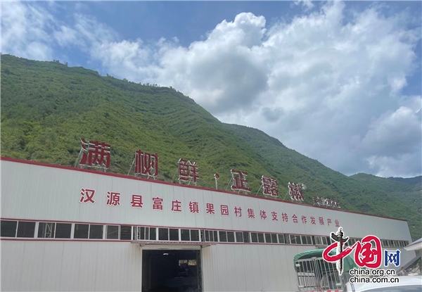 汉源县富庄镇果园村：“麻上致富”！花椒产业为集体经济增“香”添“味”