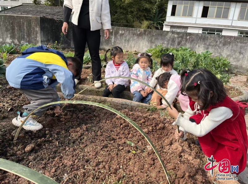 春芽知暖 勤忙春种｜宜宾市叙州区商州镇中心幼儿园开展春耕活动