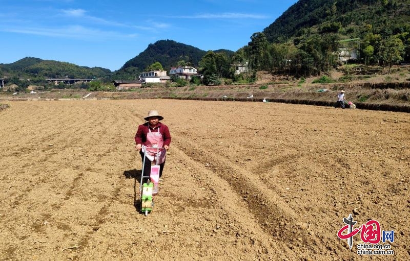 高县：精准定位炼示范