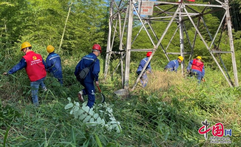 四川能投发展建设：筑牢线路通道“防火墙” 守好电网安全“责任田”