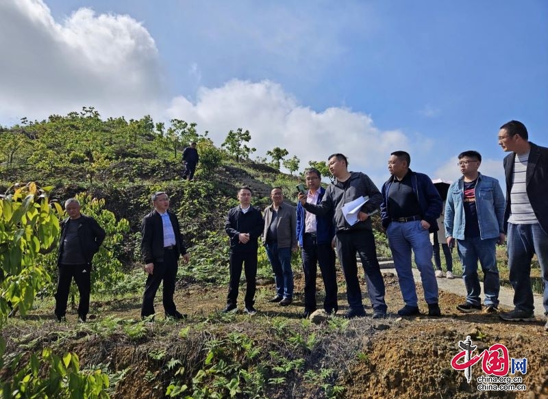 四川省林业和草原局到高县开展2023年国家级林木良种基地建设考核