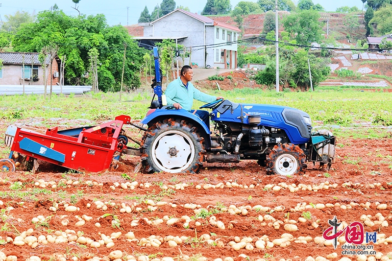 自贡市贡井区农业机械化助力乡村振兴的探索与实践