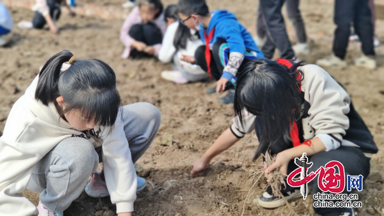 用劳动去热爱 育时代好少年 绵阳市盐亭县经开区实验小学劳动实践基地全面启动