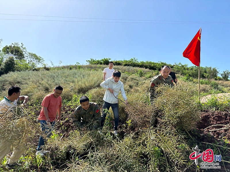 自贡市自流井区：志愿抢收队温情助农 解决飞龙峡镇丁香村油菜收割难题