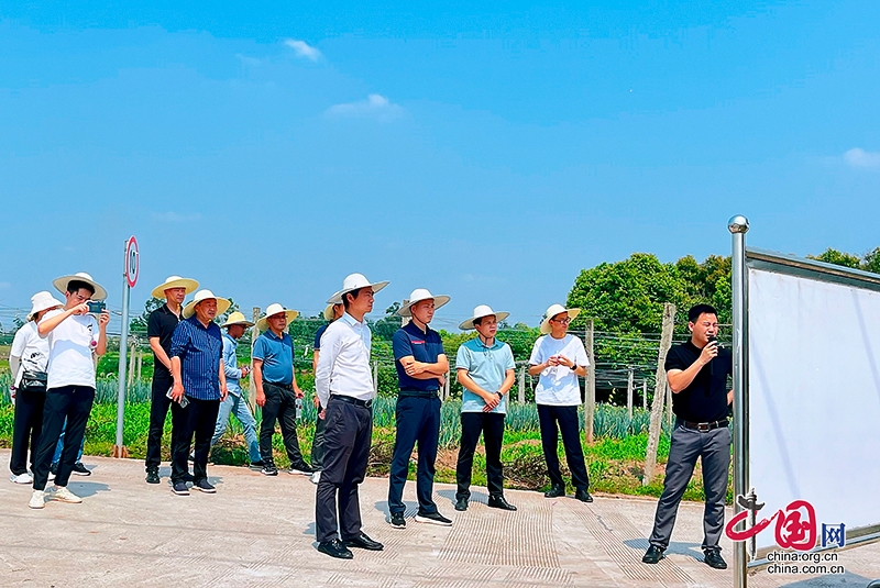 自貢市大安區舉辦2024年小麥機收現場觀摩會