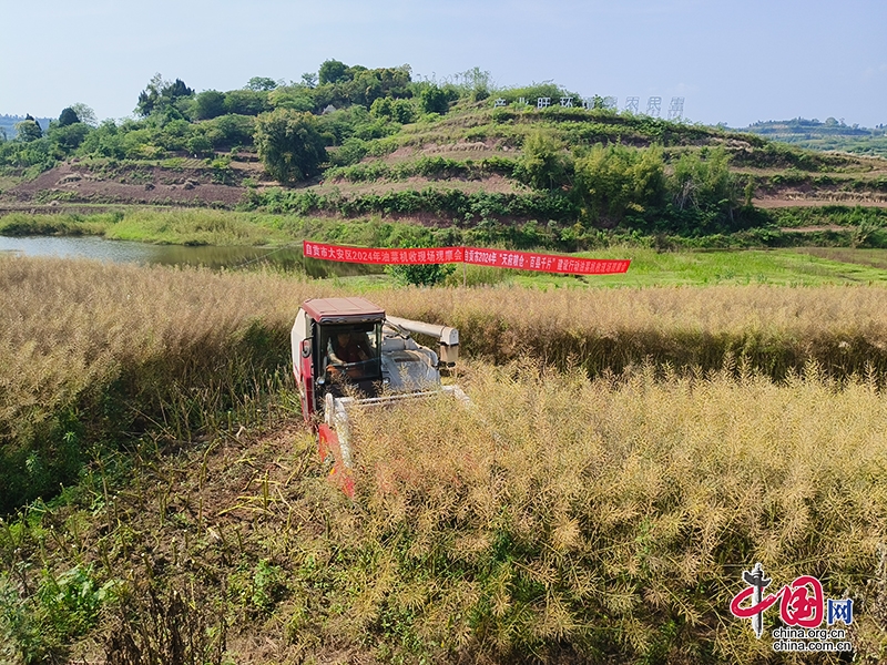 自貢市召開夏季糧油收穫現場會暨“天府糧倉·百縣千片”建設行動推進會