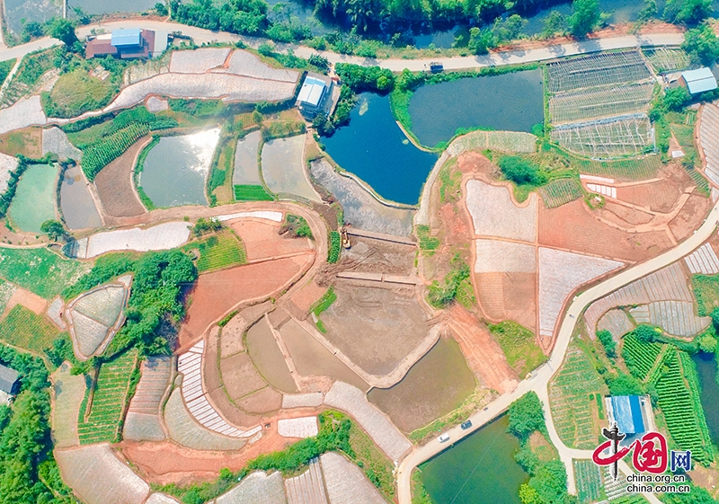 自貢市五寶鎮高標準農田項目建設加速推進